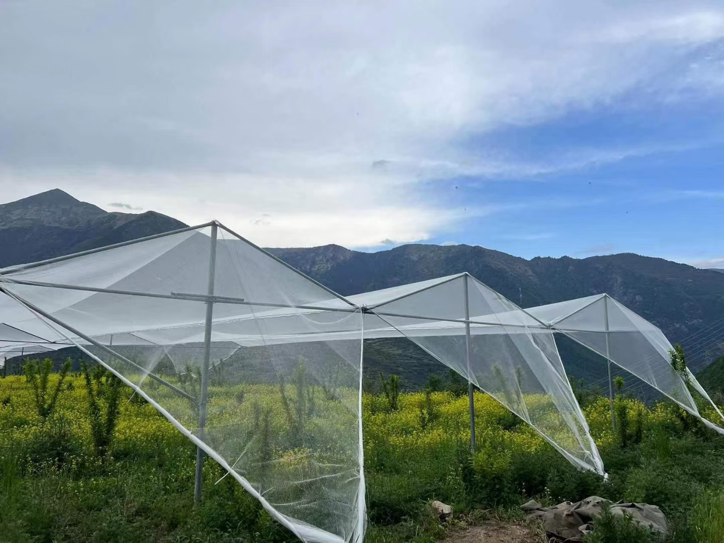 屋脊式防雹网