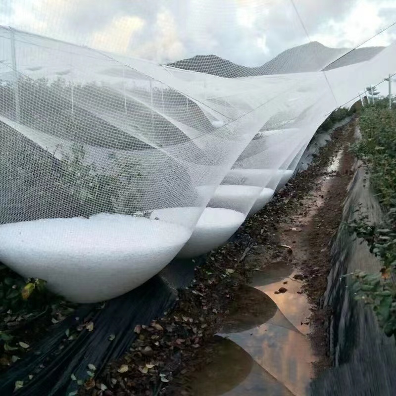高强度防雹网