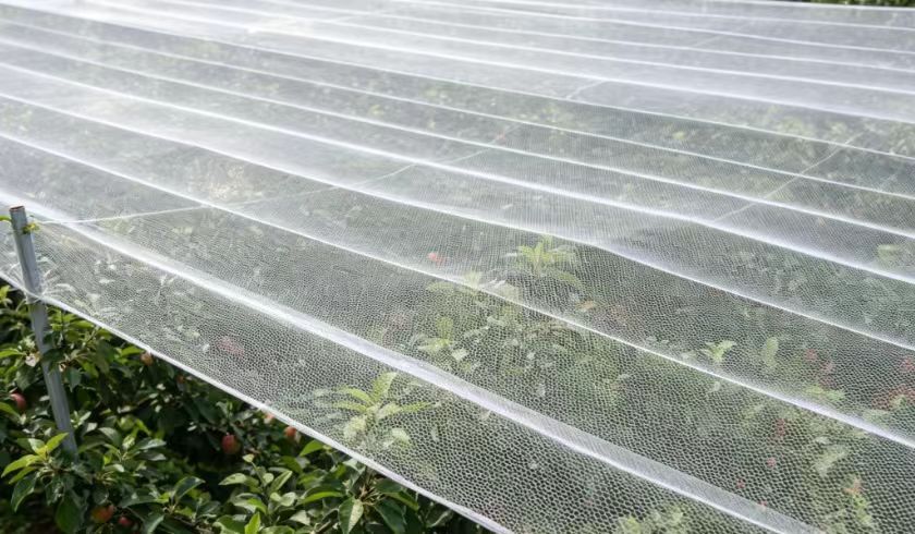 水平铺设结构